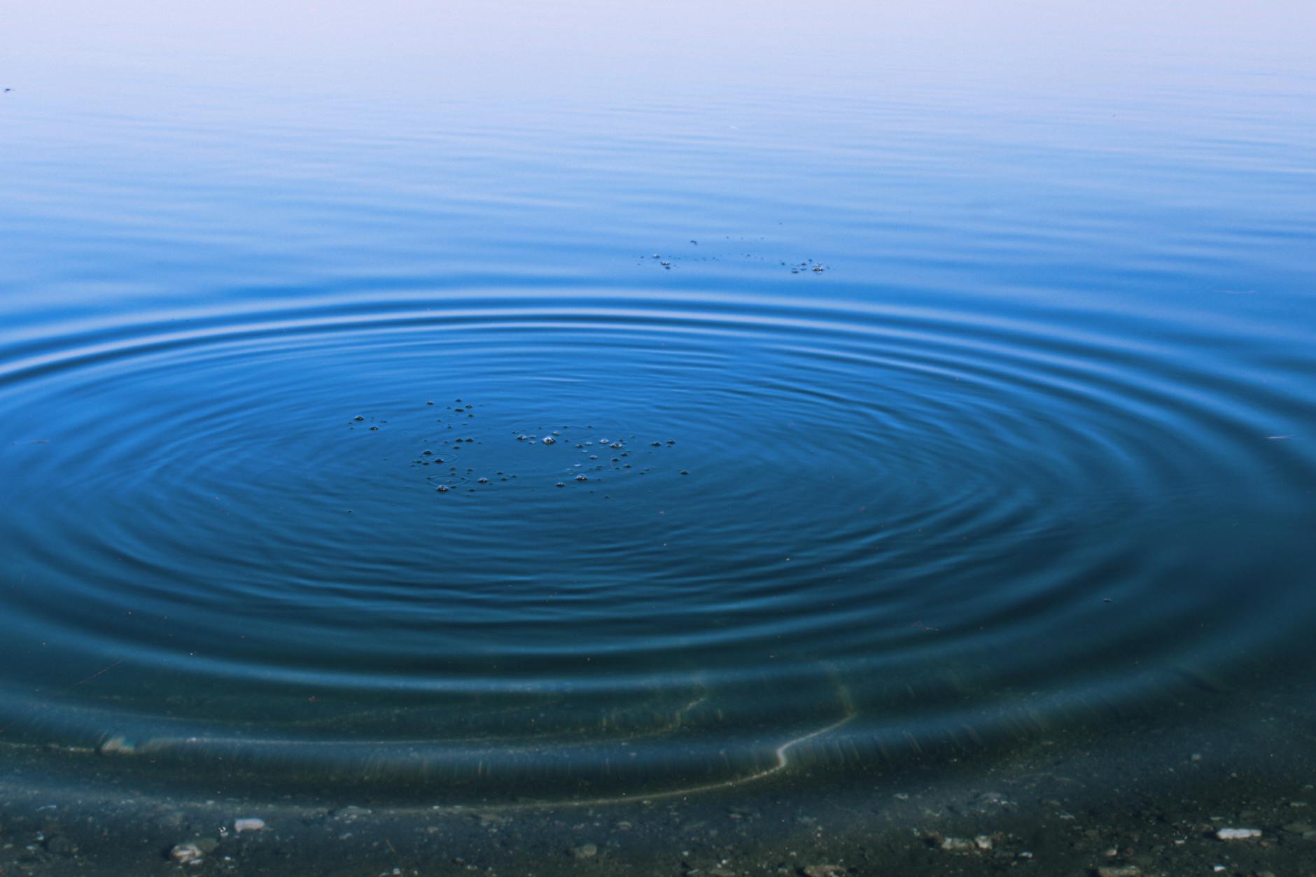 calm water with circular ripples in nature